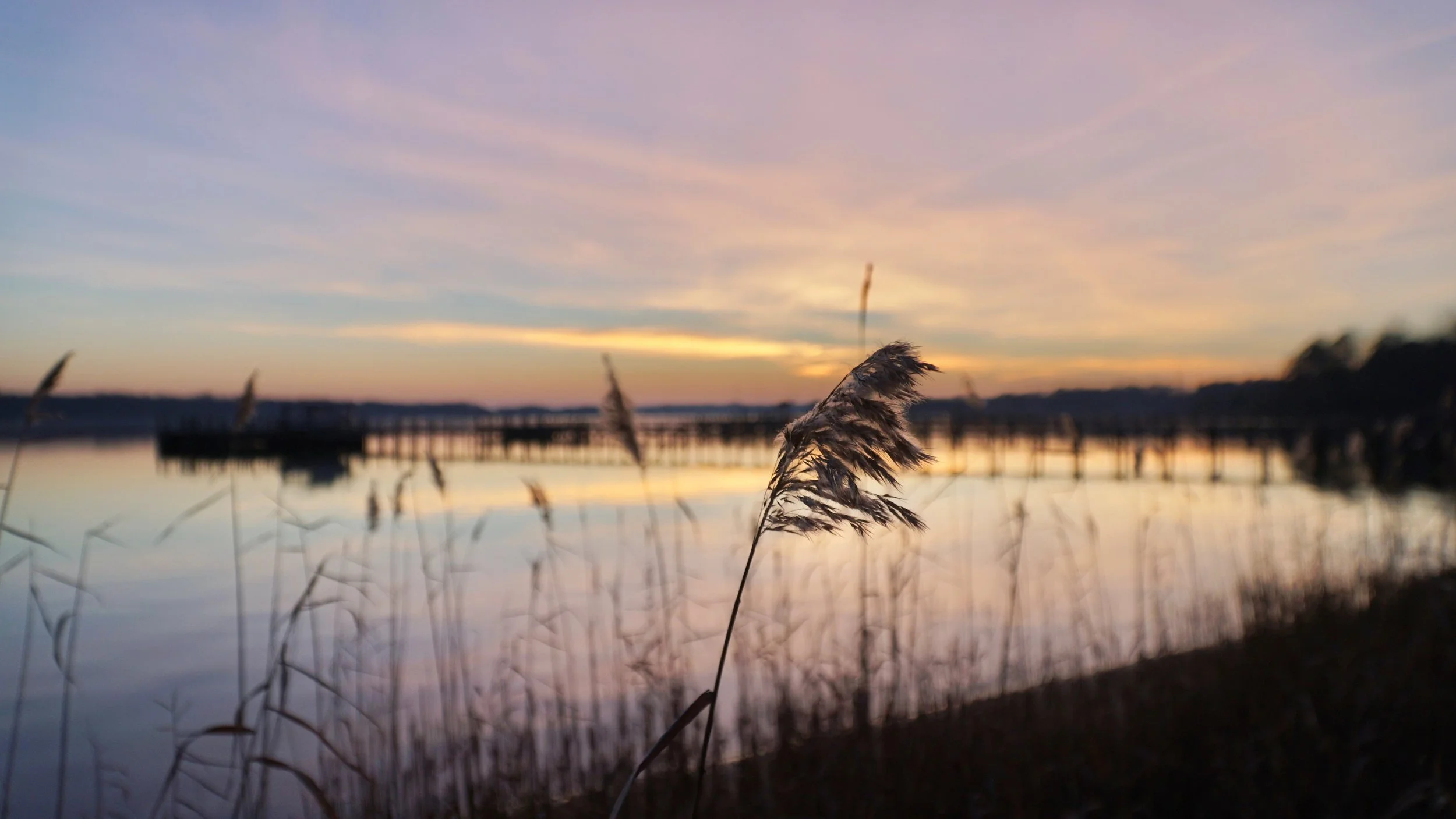 Blue Ridge mountains and lake at dawn — Timshel Personal Consulting, Charlottesville VA & Asheville NC